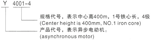 西安泰富西玛Y系列(H355-1000)高压YJTG-355M1-4A/220KW三相异步电机型号说明