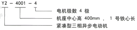 YR系列(H355-1000)高压YJTG-355M1-4A/220KW三相异步电机西安西玛电机型号说明